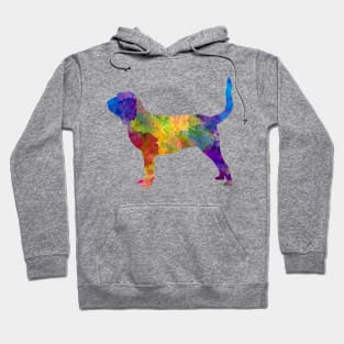 Bloodhound in watercolor Hoodie